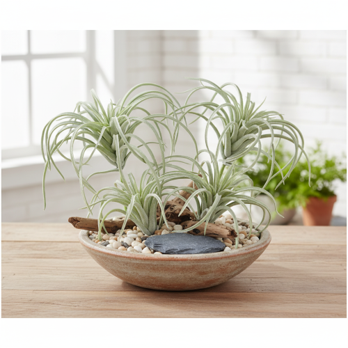daiktų Tillandsia sultingi dirbtiniai žalieji augalai 13cm
