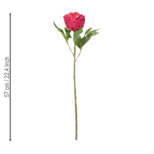 daiktų Dirbtinis bijūnas elegantiškam interjero dekoravimui, 58 cm