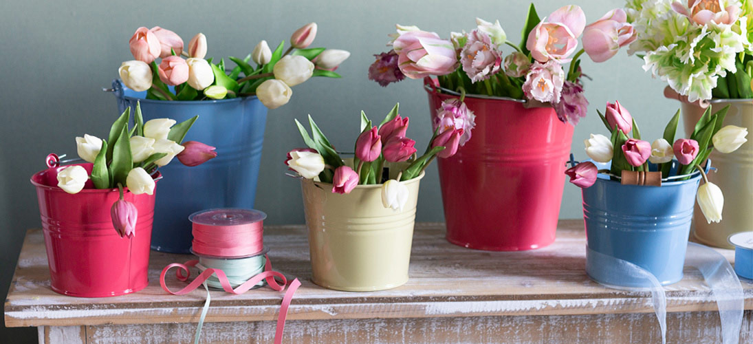 Sodo gėlė ir pievos gėlė