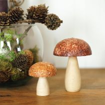 daiktų Mediniai grybai dekoratyviniai grybai stalo puošmena rudeniniai rudi natūralūs 5×6cm 8vnt