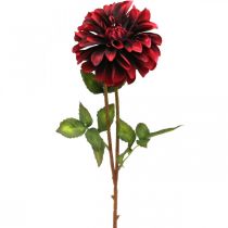 daiktų Dirbtinė gėlė jurgina raudona šilkinė gėlė ruduo 78cm Ø3 / 15cm