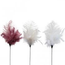 daiktų Dekoratyvinės plunksnos ant lazdelės paukščių plunksnos baltos/kreminės/bumsiai rožinės spalvos 3 vnt
