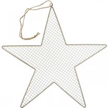 daiktų Metal Star Mesh Deco Star Metal Deco Gold Ø57cm