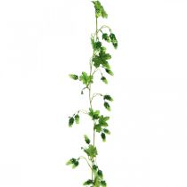 daiktų Apynių girlianda, sodo puošmena, dirbtinis augalas, vasarinė 185cm žalia