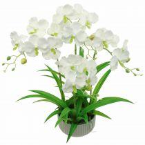 daiktų Dirbtinės orchidėjų dirbtinės gėlės vazone baltas 60cm