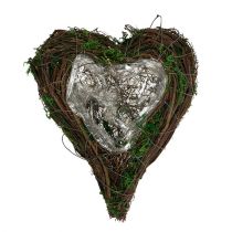 daiktų Planter Heart Vine Moss 21cm x 26cm H6cm