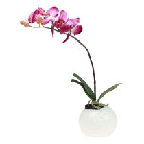 daiktų Dirbtinės orchidėjos vazone Phalaenopsis dirbtinės gėlės orchidėjos rožinės spalvos 34cm