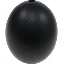 daiktų Stručio kiaušinio dekoras Išpūstas Velykų dekoras Juodas Ø12cm H14cm