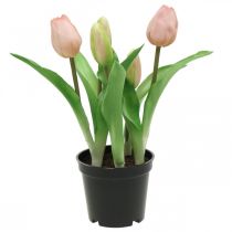 daiktų Tulpė rožinė, žalia vazonėlyje Dirbtinis vazoninis augalas dekoratyvinė tulpė H23cm