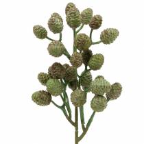 daiktų Kūgio šakelė žalia 33cm Dirbtinis augalas kaip tikras!