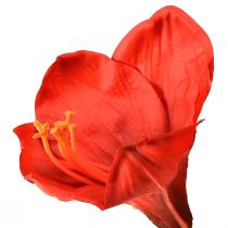 daiktų Dirbtinis amarilis ryškiai raudonos spalvos - elegantiškos gėlės, skirtos prabangiam kambario dekoravimui, 66 cm