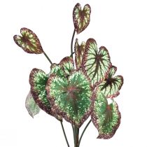 daiktų Begonija Dirbtiniai augalai Lapas Begonijos Žalia Violetinė 62cm