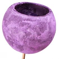 daiktų Varpelio taurė ant pagaliuko Egzotiška sausa dekoracija Violetinė Uoga 44cm 15vnt