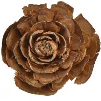 daiktų Kūgiai iš kedro supjaustyti kaip rožių kedro rožė 4-6cm natūralus 50vnt