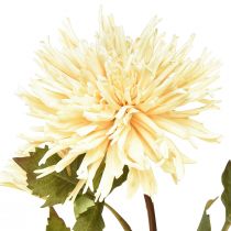 daiktų Kreminė chrizantema dirbtinė gėlė su 2 žiedais L70cm