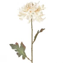 daiktų Chrysanthemum Dirbtinių dekoratyvinių gėlių kremas L72cm 2vnt