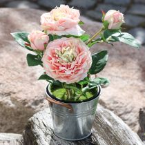 daiktų Dekoratyvinė rožė vazonėlyje, romantiškos šilkinės gėlės, rožinis bijūnas