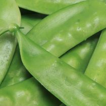 daiktų Žalieji žirneliai Dirbtinės maistinės daržovės 11,5cm 24 vnt