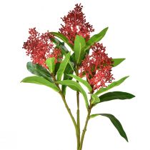 Dirbtinės gėlės raudonos Skimmia japonica Skimmie 45cm 2vnt