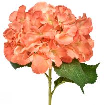 daiktų Dirbtinė hortenzija Gigant dekoratyvinė gėlė lašiša Ø23cm L84cm