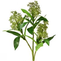 Dirbtinės gėlės žalios Skimmia japonica Skimmie 45cm 2vnt