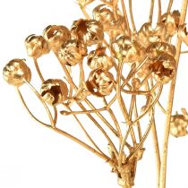 daiktų Dirbtiniai augalai linas dirbtinis auksas Advento dekoracija 54cm 4vnt