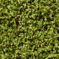 daiktų Samanų kilimėlis dirbtinės samanos samanų paveikslėliui žalias 100×50cm