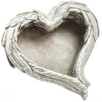 daiktų Augalinės širdies plunksnos išlietos akmeninės širdelės pilka balta 13×12×6cm 2vnt