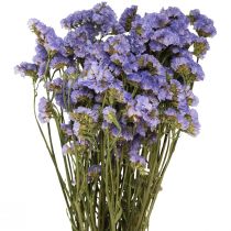 Jūros alyvinė violetinė Statice Limonium sinuatum džiovintos gėlės 60cm 50g