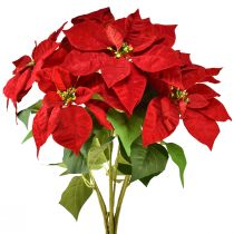 daiktų Poinsettia Dirbtinė Kalėdų žvaigždė Raudona Žalia L57cm