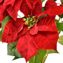 daiktų Poinsettia Dirbtinė Kalėdų žvaigždė Raudona Žalia L57cm