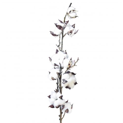 Floristik24 Medvilnės šakelė medvilnės gėlės dirbtinės rudos baltos L95cm
