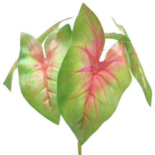daiktų Dirbtinis kaladijos šešialapis žalias/rožinis dirbtinis augalas kaip tikras!