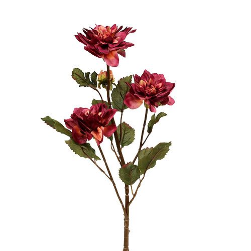 Dahlia Erika Ø10cm L68cm 3vnt