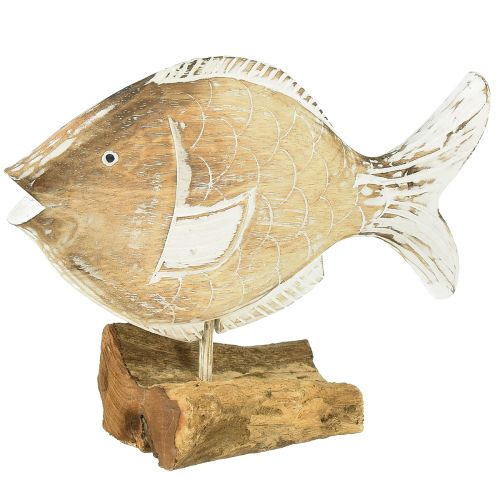 Floristik24 Dekoratyvinis žuvies medinis stovas ant šaknies jūrinės dekoracijos 27cm