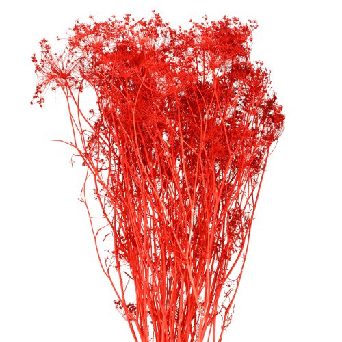 daiktų Dekoratyvinė skėtinių gėlių puokštė vestuvėms ir renginiams