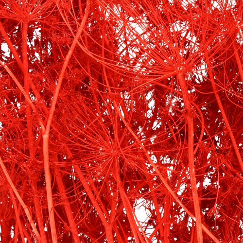 daiktų Dekoratyvinė skėtinių gėlių puokštė vestuvėms ir renginiams