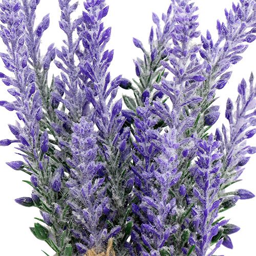 Floristik24 Levandų paketėlis su širdele 18cm