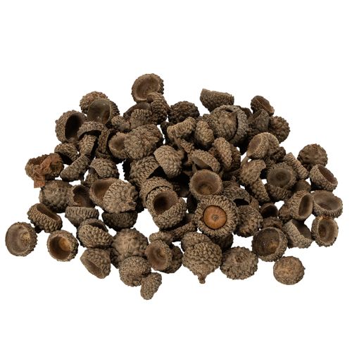 daiktų Natūralūs gilių kepurėlės, dekoratyviniai dubenėliai rudeniui ir Adventui, 2 cm, 300 g