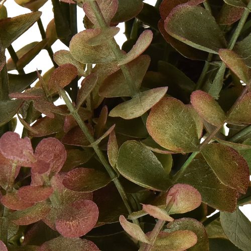 daiktų Dirbtinis eukalipto vainikas rudens dekoracija eukaliptas Ø36cm