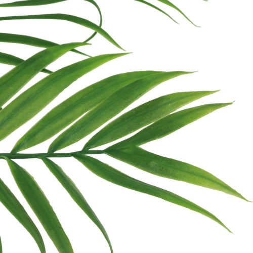 daiktų Dirbtinės palmės lapeliai Dirbtiniai žalieji augalai 56cm 3vnt
