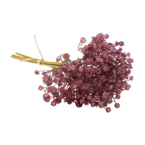 daiktų Gypsophila Gypsophila Gypsophila dirbtinė violetinė 35cm 5 vnt