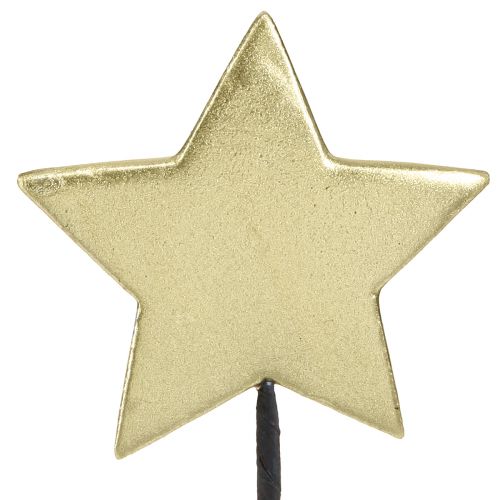 Floristik24 Golden stars dekoratyviniai gėlių kamščiai Ø7cm 2-as pasirinkimas 24 vnt