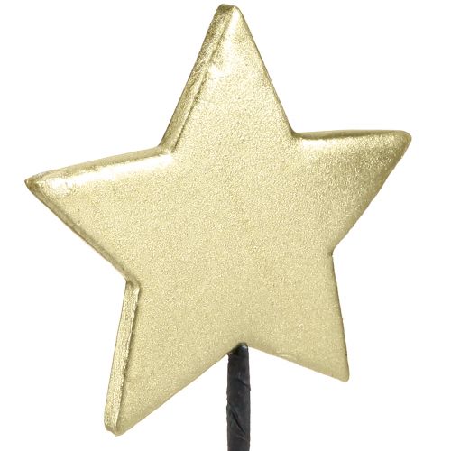 daiktų Golden stars dekoratyviniai gėlių kamščiai Ø7cm 2-as pasirinkimas 24 vnt