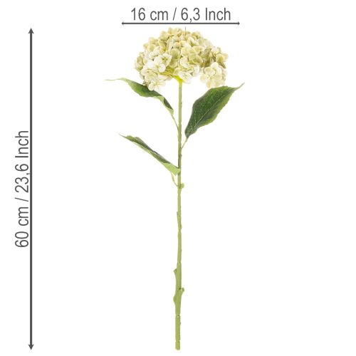 daiktų Dirbtinė hortenzija su ilgu stiebu ir lapais, 60 cm