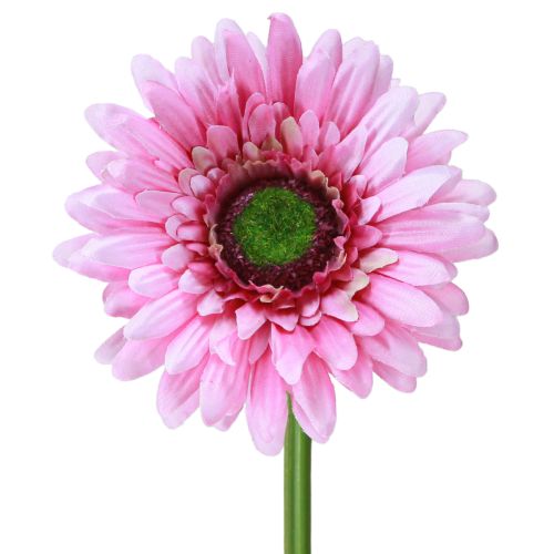 daiktų Dirbtinės gėlės Gerbera Garden Dirbtinės gėlės Rožinės 47cm