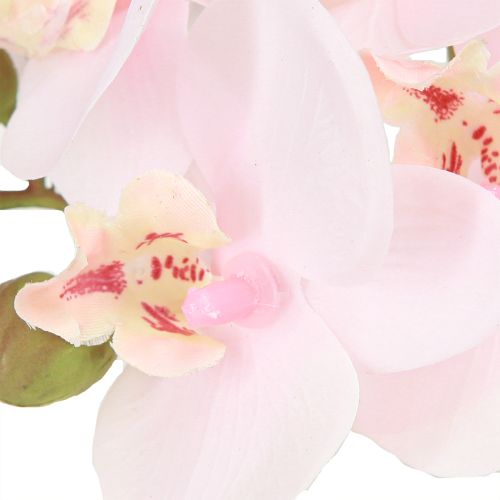 daiktų Dirbtinės Orchidėjos Šviesiai Rožinės Dirbtinės Gėlės Real Touch 58cm 2vnt