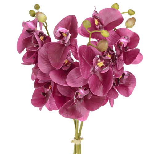 daiktų Dirbtinės orchidėjos violetinės dirbtinės gėlės kaip tikros 56cm 3 vnt