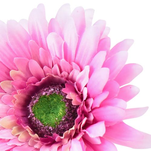 daiktų Dirbtinės gėlės Gerbera Garden Dirbtinės gėlės Rožinės 47cm