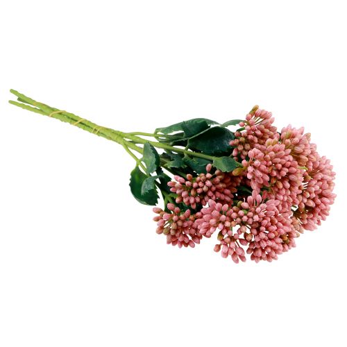 daiktų Dirbtinė riebalų višta Sedum Stonecrop žydinti rožinė 47cm 3vnt